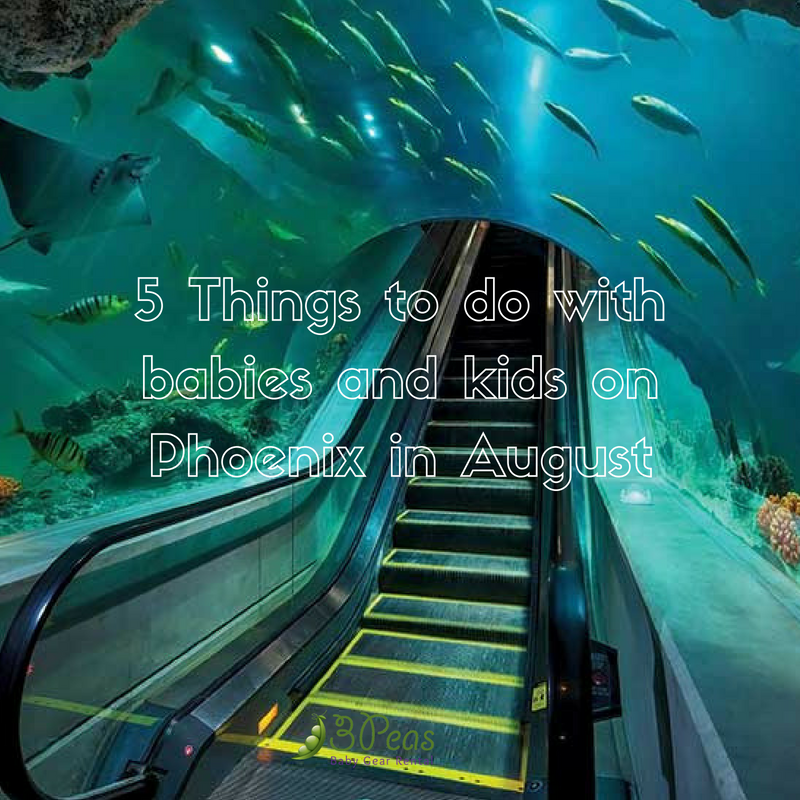 Things to do with kids in Phoenix and Scottsdale in August