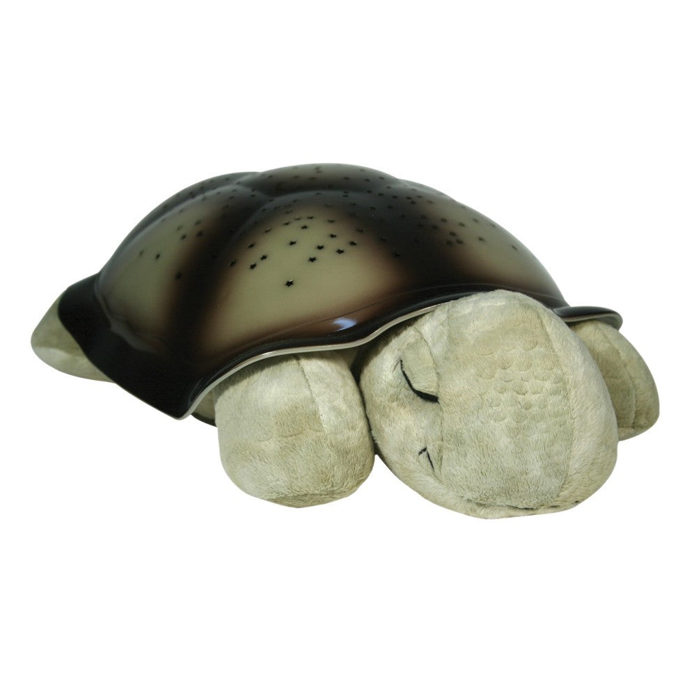 Night Light Turtle